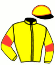casaque portée par Thonnel Mlle C. jockey du cheval de course HANDY GOLD, information pmu ZETURF casaque portée par Thonnel Mlle C. jockey du cheval de course HANDY GOLD, information pmu ZETURF