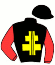 casaque portée par Marty F. jockey du cheval de course ICARIOS GEMINI, information pmu ZETURF casaque portée par Marty F. jockey du cheval de course ICARIOS GEMINI, information pmu ZETURF