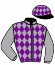 casaque portée par Desbordes D. jockey du cheval de course HOLD BLUE, information pmu ZETURF