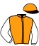 casaque portée par Cueff L. jockey du cheval de course IDEFIX D'OLMEN, information pmu ZETURF