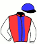 casaque portée par Ensch N. jockey du cheval de course KOCKTAIL LOVE, information pmu ZETURF casaque portée par Ensch N. jockey du cheval de course KOCKTAIL LOVE, information pmu ZETURF