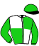 casaque portée par Le Clerc B. jockey du cheval de course SAGA NIGHT, information pmu ZETURF
