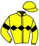casaque portée par Boinard G. jockey du cheval de course GOONHILLY, information pmu ZETURF casaque portée par Boinard G. jockey du cheval de course GOONHILLY, information pmu ZETURF