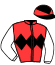 casaque portée par Andrieux T. jockey du cheval de course NILE PARIS, information pmu ZETURF casaque portée par Andrieux T. jockey du cheval de course NILE PARIS, information pmu ZETURF