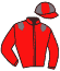 casaque portée par Lefebvre Mr C. jockey du cheval de course RULE OF THUMB, information pmu ZETURF casaque portée par Lefebvre Mr C. jockey du cheval de course RULE OF THUMB, information pmu ZETURF