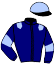 casaque portée par Mathe Cl. jockey du cheval de course L'AS DE BIEVRE, information pmu ZETURF