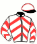 casaque portée par Tugend G. jockey du cheval de course ILLARIA MADRIK, information pmu ZETURF casaque portée par Tugend G. jockey du cheval de course ILLARIA MADRIK, information pmu ZETURF