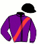 casaque portée par Seguin Q. jockey du cheval de course FUCHSIA DE ZIETTE (FR), information pmu ZETURF