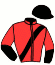 casaque portée par Briand Y. A. jockey du cheval de course CAGNOISE D'AGON (FR), information pmu ZETURF