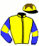 casaque portée par Laurent S. jockey du cheval de course SANDY DREAM, information pmu ZETURF