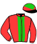 casaque portée par Velon Mlle M. jockey du cheval de course VIOMENIL, information pmu ZETURF