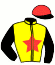 casaque portée par Sorel J. Ch. jockey du cheval de course HONLY ONE (FR), information pmu ZETURF