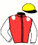 casaque portée par Thonnerieux K. jockey du cheval de course EBABIELA, information pmu ZETURF