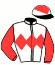 casaque portée par Mme Lena Antoniotti jockey du cheval de course LILY APPLE, information pmu ZETURF
