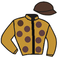 casaque portée par Lopes Duarte Nun. M. jockey du cheval de course LAMALINK, information pmu ZETURF