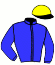 casaque portée par Lemaitre A. jockey du cheval de course EURYALE (IE), information pmu ZETURF casaque portée par Lemaitre A. jockey du cheval de course EURYALE (IE), information pmu ZETURF