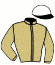 casaque portée par Boudot P. C. jockey du cheval de course HOMERYAN (FR), information pmu ZETURF