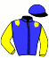 casaque portée par Bachelot T. jockey du cheval de course GLYSANDRINE (IE), information pmu ZETURF