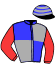 casaque portée par Tison Mlle S. jockey du cheval de course GHOR (FR), information pmu ZETURF