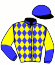 casaque portée par D' Andigne O. jockey du cheval de course LILLY BIRD (IE), information pmu ZETURF