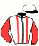 casaque portée par Besnier H. jockey du cheval de course RELATIVITY (FR), information pmu ZETURF