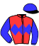 casaque portée par Hardouin E. jockey du cheval de course GYSOAVE (FR), information pmu ZETURF