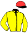 casaque portée par Demuro C. jockey du cheval de course ZAFFONIX BAY (IE), information pmu ZETURF