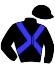 casaque portée par Vermeersch Mlle S. jockey du cheval de course DALVINI (FR), information pmu ZETURF