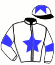 casaque portée par Bails Mlle L. jockey du cheval de course SHIKAMI (IE), information pmu ZETURF