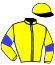 casaque portée par Santiago Mlle D. jockey du cheval de course DOLOKHOV (GB), information pmu ZETURF
