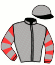 casaque portée par Hardouin E. jockey du cheval de course OPHELIA'S AIDAN (IE), information pmu ZETURF