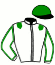 casaque portée par Benoist G. jockey du cheval de course ENERGY DRAGON (IE), information pmu ZETURF