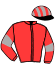 casaque portée par Benoist G. jockey du cheval de course FLYING DAVINA (FR), information pmu ZETURF