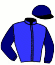 casaque portée par Besnier H. jockey du cheval de course DALIGAR (FR), information pmu ZETURF