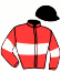 casaque portée par Boisseau L. jockey du cheval de course MANG'SEKO (FR), information pmu ZETURF