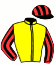 casaque portée par Santiago Mlle D. jockey du cheval de course INVINCIBLE IBRA (IE), information pmu ZETURF