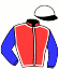 casaque portée par Cheminaud V. jockey du cheval de course ANTILA (FR), information pmu ZETURF