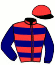 casaque portée par Delalande M. jockey du cheval de course BARATIN (FR), information pmu ZETURF