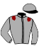 casaque portée par Crublet E. jockey du cheval de course TRIPLEX (IE), information pmu ZETURF