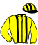 casaque portée par Guyon M. jockey du cheval de course SHIELDING (US), information pmu ZETURF