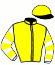casaque portée par Valle Skar Mlle F. jockey du cheval de course HANIDA (FR), information pmu ZETURF
