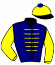 casaque portée par Pietsch A. jockey du cheval de course GRACIAN (DE), information pmu ZETURF