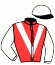 casaque portée par Planque S. jockey du cheval de course TOUR ODEON, information pmu ZETURF
