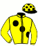 casaque portée par Lecoeuvre C. jockey du cheval de course SOCIETY BALL (GB), information pmu ZETURF
