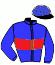 casaque portée par Justum M. jockey du cheval de course BIG RIVER (FR), information pmu ZETURF