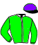 casaque portée par Demuro C. jockey du cheval de course WORTH A TEAM, information pmu ZETURF