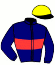 casaque portée par Reveley J. jockey du cheval de course SKY GLORY, information pmu ZETURF