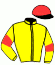 casaque portée par Mangione R. jockey du cheval de course BEAUTE CACHEE, information pmu ZETURF