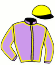 casaque portée par Grandin M. jockey du cheval de course MALECON, information pmu ZETURF