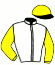 casaque portée par Crublet E. jockey du cheval de course CADORINO DES PLACE, information pmu ZETURF